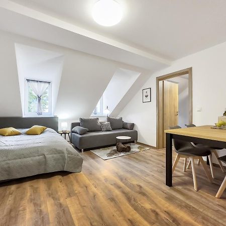 Apartment Katrin 2 Karlovy Vary Esterno foto