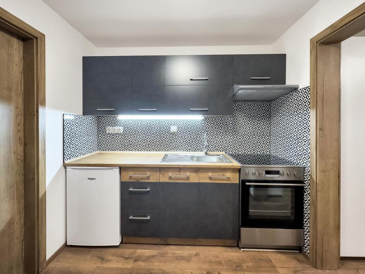 Apartment Katrin 2 Karlovy Vary Esterno foto